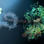 Super-Bacteria: Nature's Mini-Recycling Plants for Plastics
